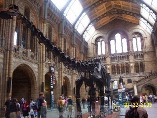 Natural History Museum Lobby