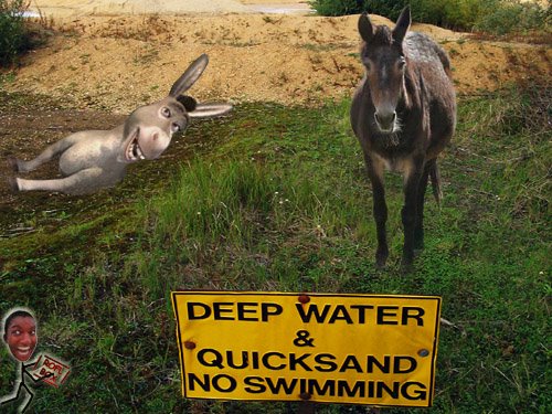 Image result for . A mule won't sink in quicksand but a donkey will