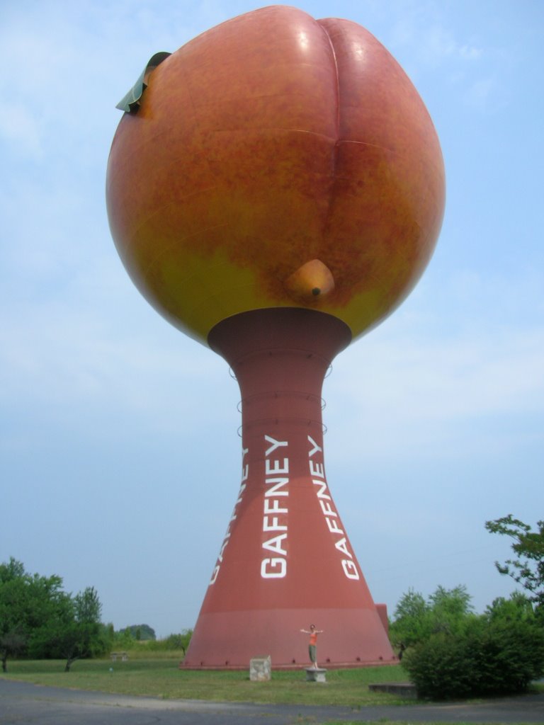 Spotted the largest peach I've ever seen driving through Gaffney, SC