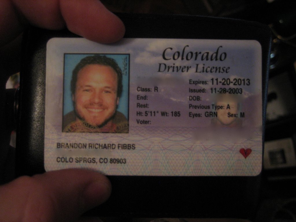 Daddy зеркало на сегодняшний день license casinos. Colorado Driver License.
