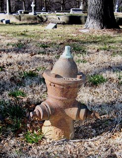 Fire Hydrant in Calvary Cemetery, St. Louis, MO