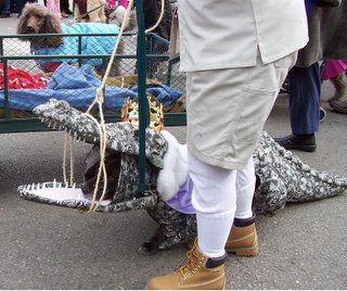 Dog in alligator costume