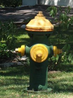 Green and Yellow Fire Hydrant