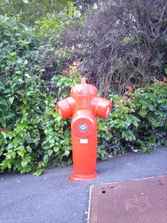 Red Fire Hydrant in France