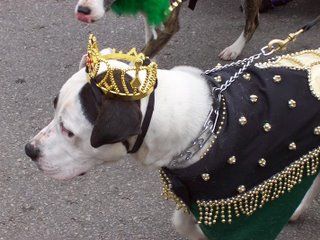 Dog with crown on his head wearing regal clothes