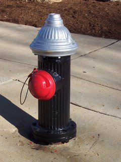 Fire hydrant with red tamper resistant cap of the hose connection