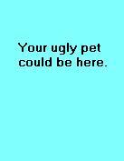 Please send me a picture of your ugly pet