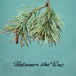 Between The Pine: free mp3s available below