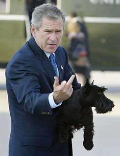 Bush dislikes you