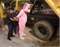 Peta activist dressed as pig arrested