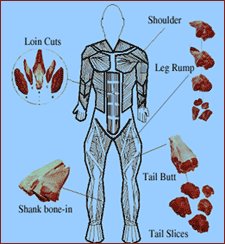 howto_human1.jpg