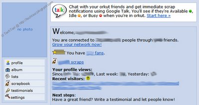 Orkut Home Page Screenshot with Google Talk Integration Message