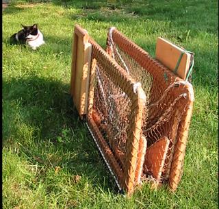 diy cat trap  Cat traps, Animal traps, Cat diy