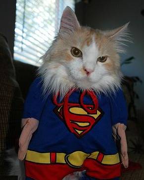 Super Cat
