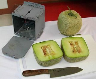 melone quadrato giapponese giappone