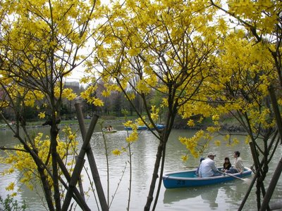 Rowboats on Nakajima Lake in the Spring
