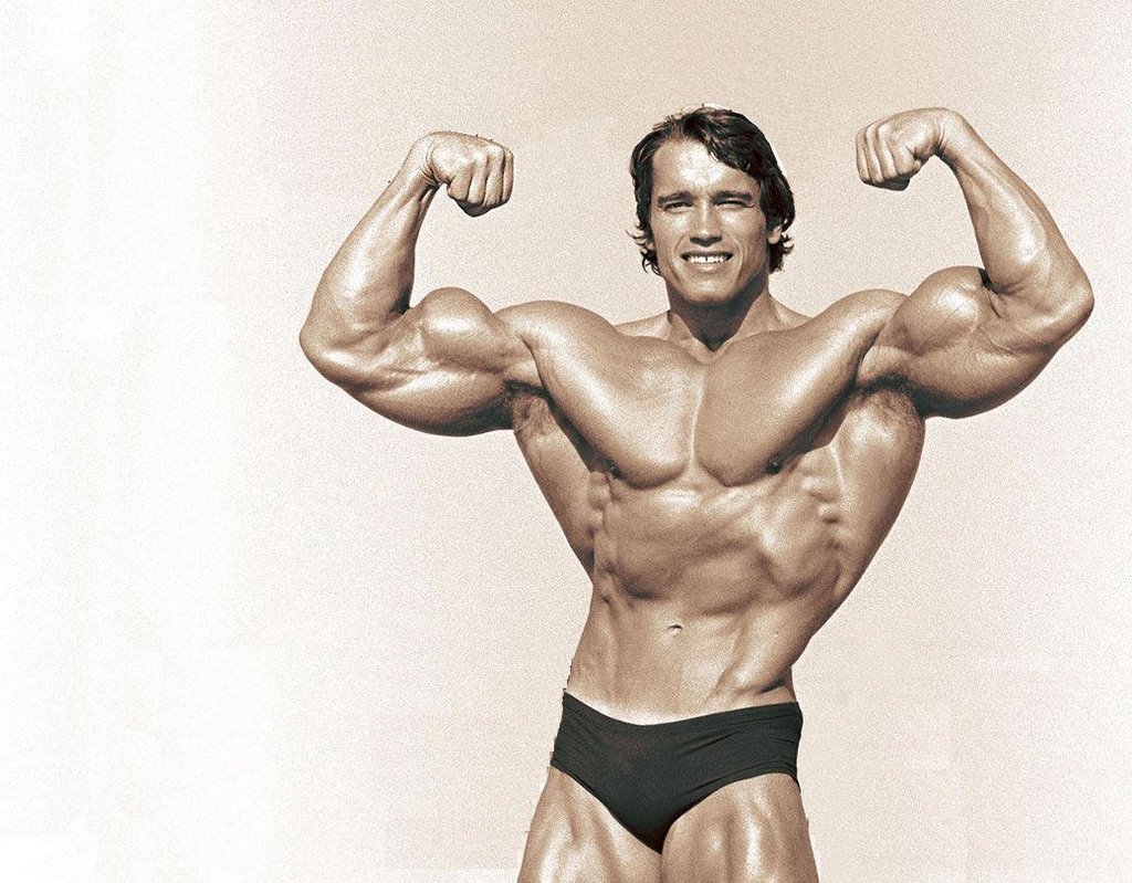 Name: Arnold Alois Schwarzenegger Nicknames: The Oak, The Austrian Oak, The...