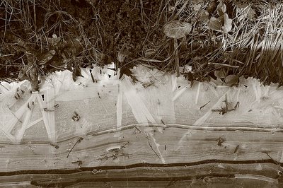 ice age, bord du canal de l'ourthe gelé, liège, belgique, photo dominique houcmant, goldo graphisme