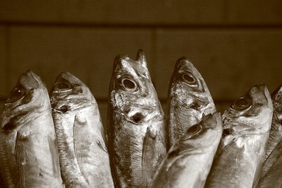 photo porto, foto mercado do bohao, sardines, sardinhas, photo dominique houcmant, goldo graphisme