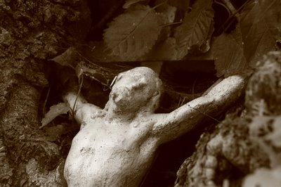 photo d'un crucifix incrusté dans le tronc d'un arbre, copyright dominique houcmant, goldo graphisme