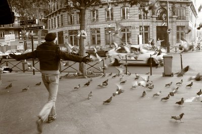 pict, image, paris, pigeons, femme, photo dominique houcmant, goldo graphisme