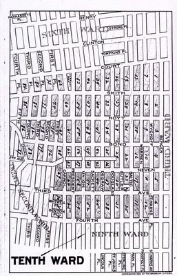 Map of Brooklyn's Tenth Ward, 1893