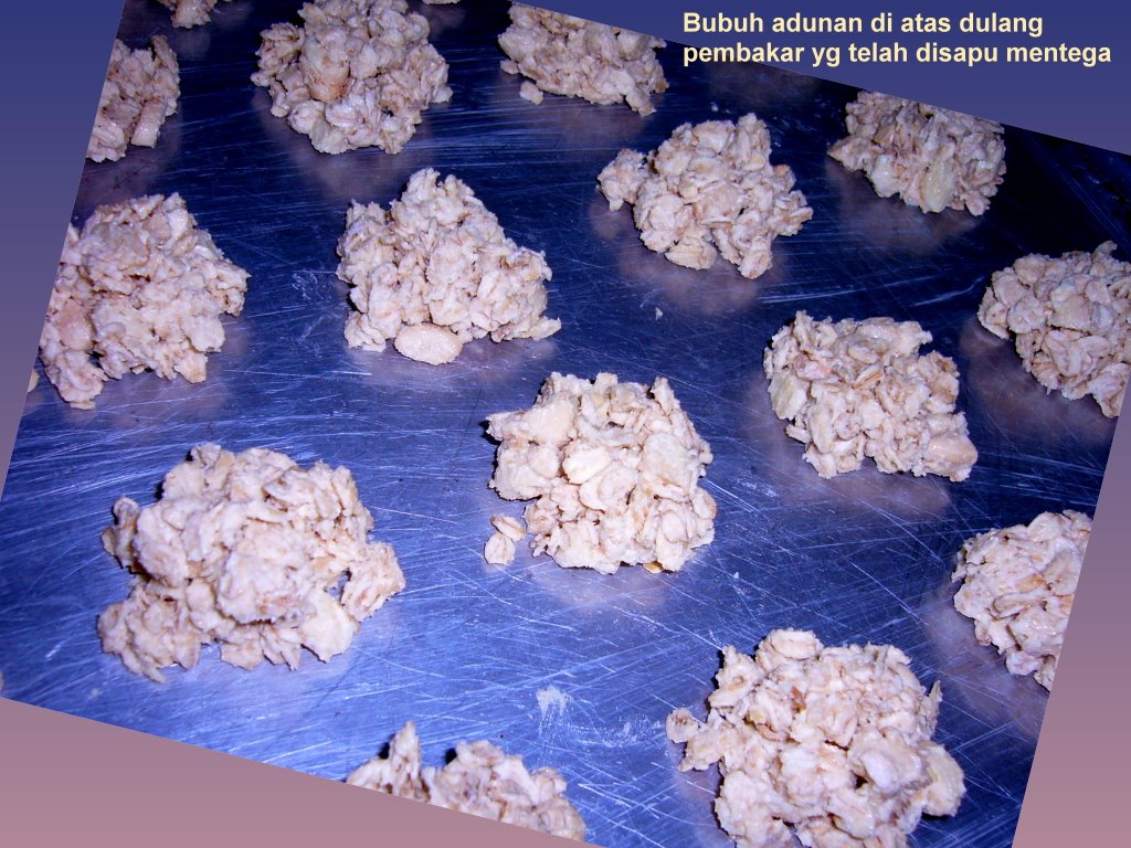 Riezanie's Recipe Collections: BISKUT OATS/Rolled Oats Cookies