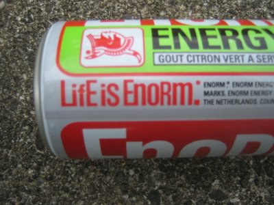 Life is Enorm