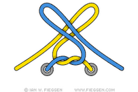 Two loop shoelace knot