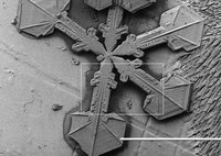 Snowflake under a scanning electron microscope.