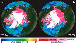 Comparison of artic ice mass between 2004 and 2005.