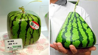 Square and pyramid shaped watermelons
