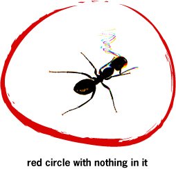 red circle with nothing in it - insect