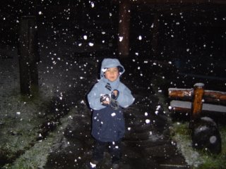 La Nieve Sobre Francisco