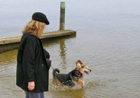 woman and dog at beach