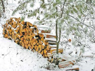 woodpile in snow