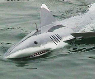 model shark