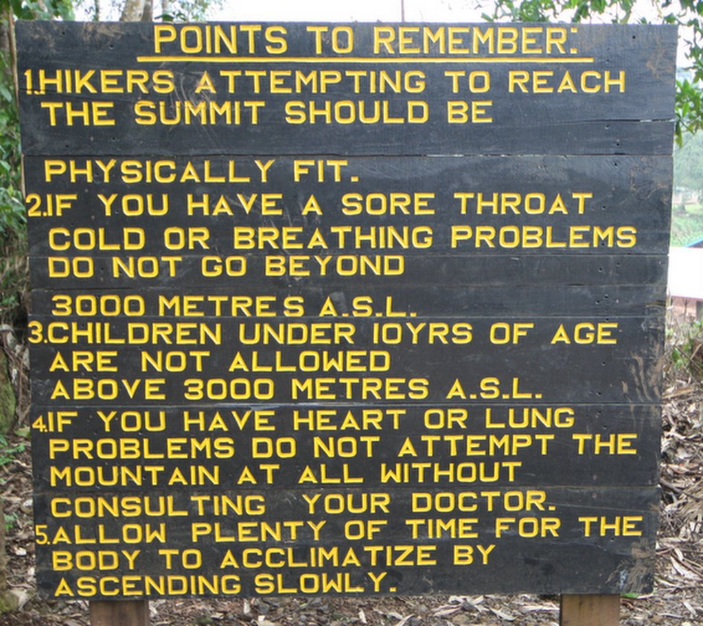 kilimanjaro