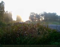 Foggy September morning