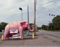 Pink elephant, Guthrie, KY
