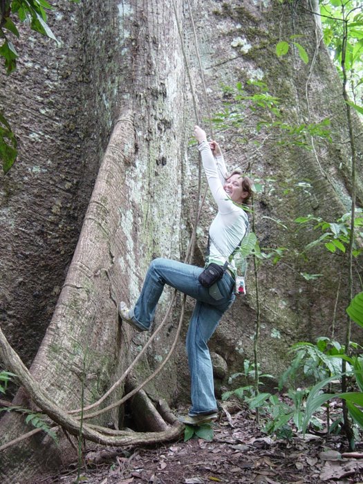 Climbing a tree in the forest.