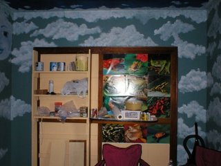 boy's room built-in