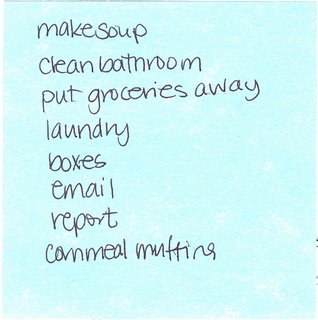 shannon's to do list