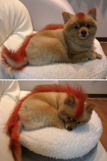 Lifesize Firefox
