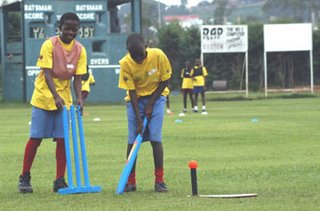 Kiwi Cricket in Africa?