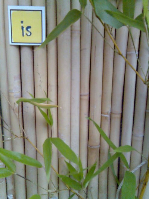Fairytale Bamboo