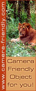 Camera Friendly Objects - Wildlife
