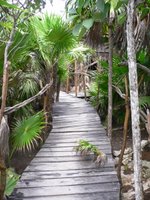 Jungle trails at EcoTulum Resorts - Photo by Joshua Hinsdale
