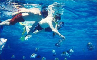 MayanHoliday.com - Snorkeling in Cozumel