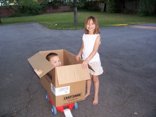 Minnie ready to ride in a cardboard box.